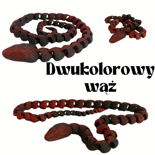 Dwukolorowy wąż
